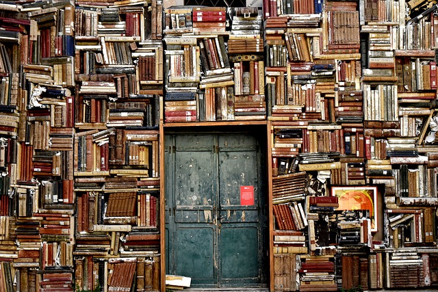 Van literaire genres tot culturele impact: een reis door de wereld van boeken en publicatie